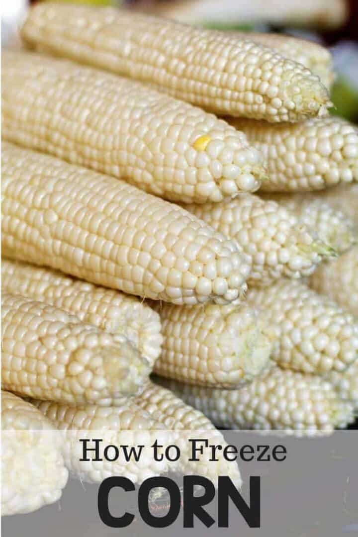 shucked white corn cobs stacked on a counter top