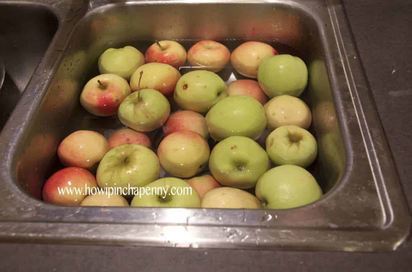 apples being washed for applesauce