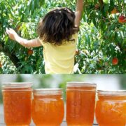 How To Make Peach Jam