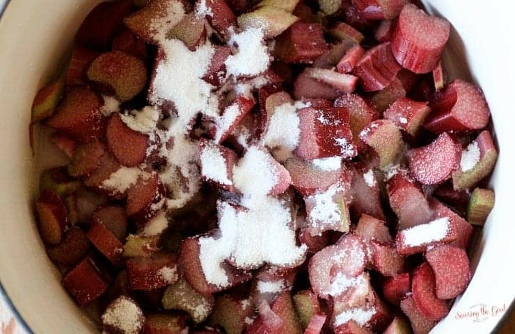 Rhubarb Iced Tea Recipe