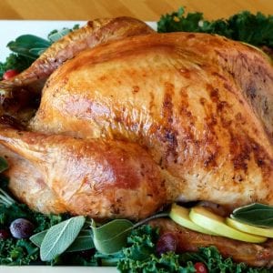An oven roasted turkey is sitting on a white plate with oranges and kale.
