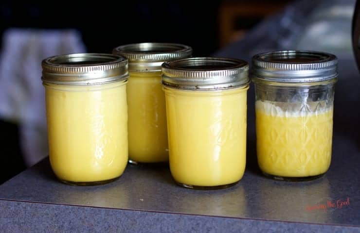 lemon curd in jars on a grey counter