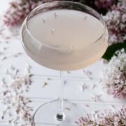 lilac bee's knees cocktail in glass