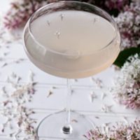 lilac bee's knees cocktail in glass