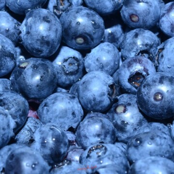 fresh blueberries square image