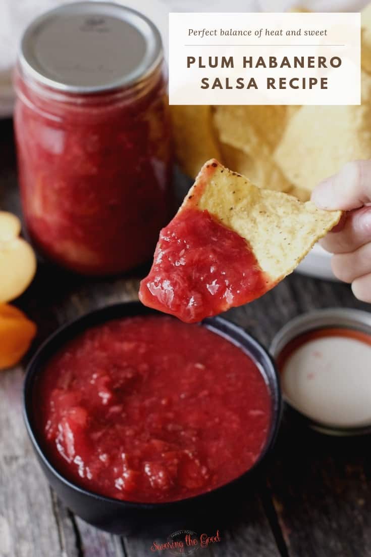 Plum Habanero Salsa Recipe with text for pinterest