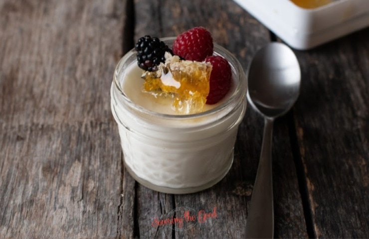 Sous Vide Yogurt with fruit and honey comb horizontal image