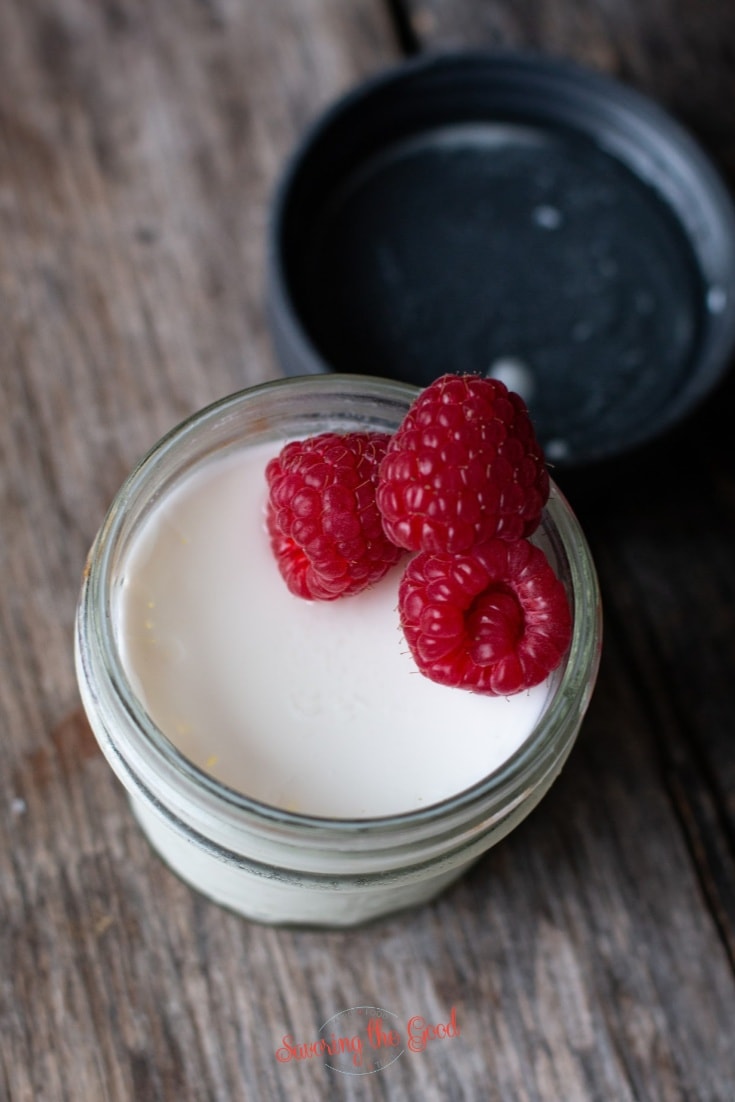 Sous Vide Yogurt with fresh raspberry garnish