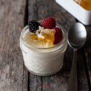 Sous Vide Yogurt Recipe