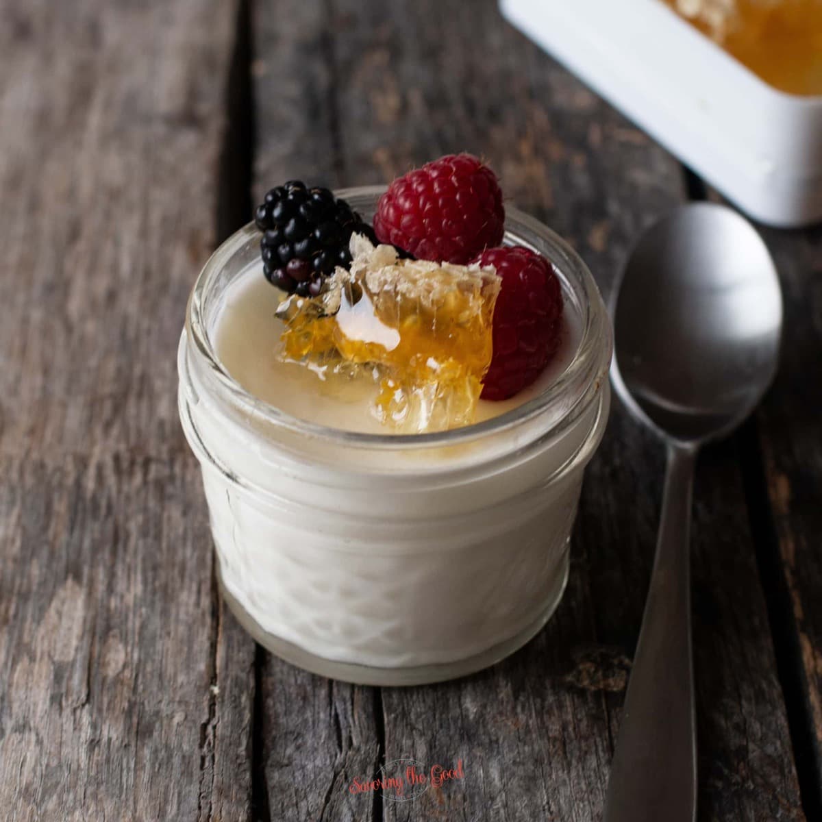 Master Sous Vide Yogurt in Six Simple Steps - StreetSmart Kitchen