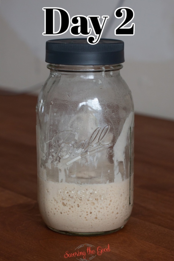 day 2 of Sourdough Starter in a jar