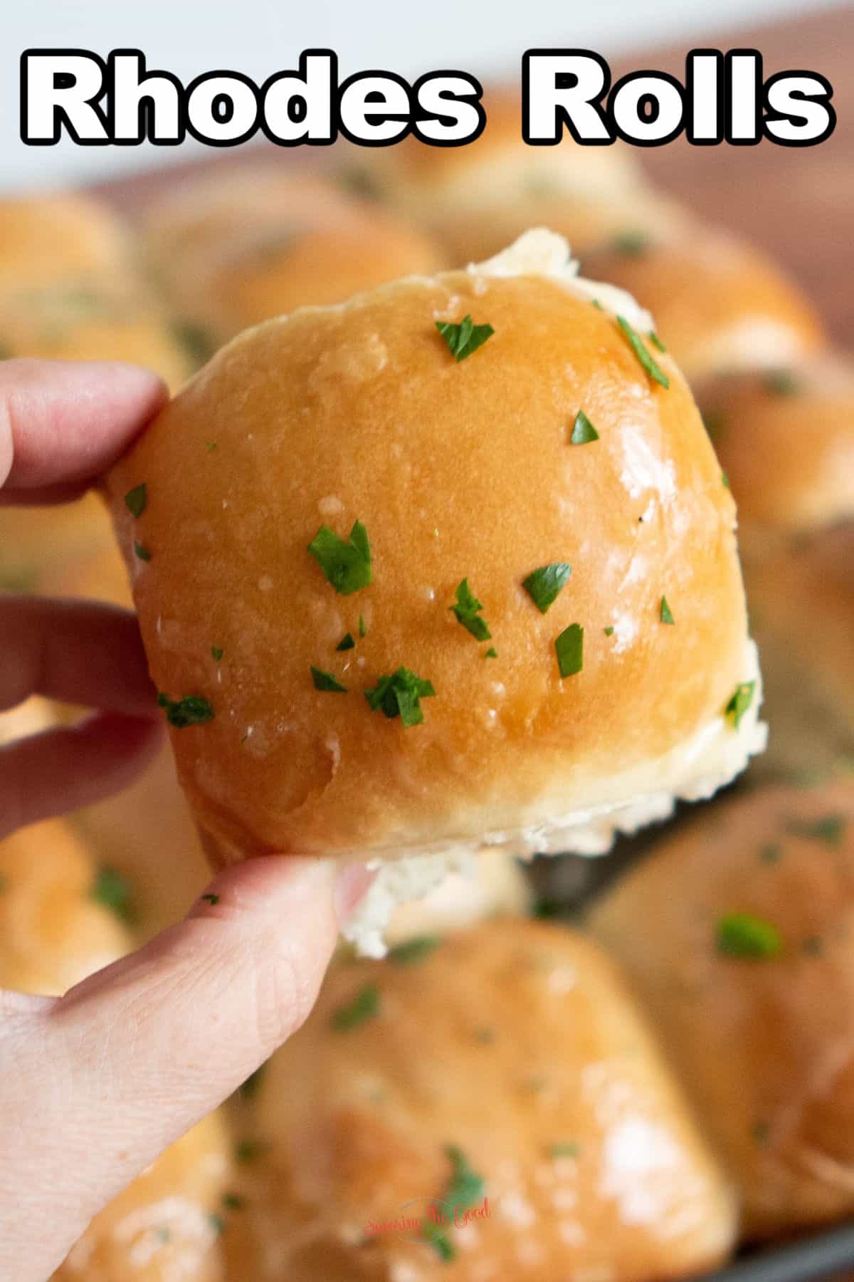 Rhodes rolls are placed on a baking sheet.
