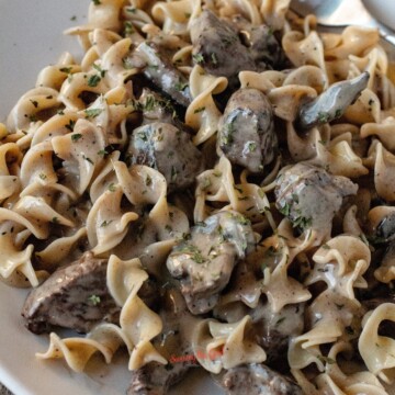 beef stroganoff classic square