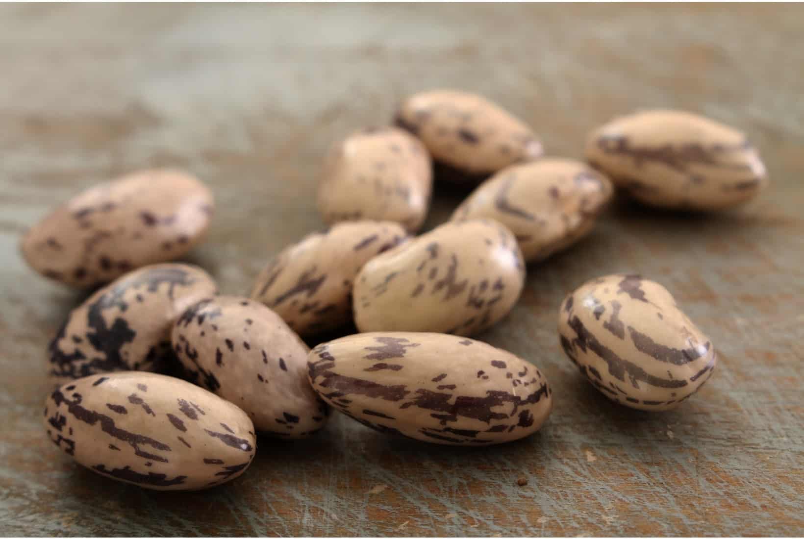 borlotti beans on a wooden surface.