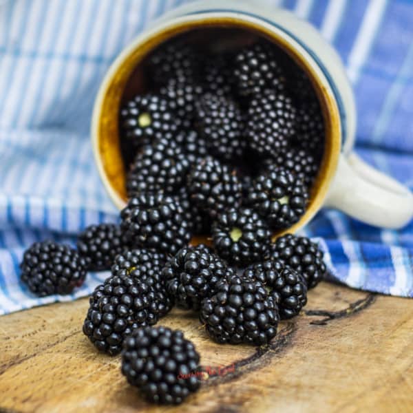 Blackberries in a cup on a wooden table.
