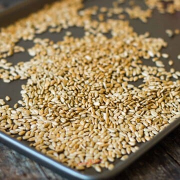 roasted sunflower seeds on a non stick baking pan square image