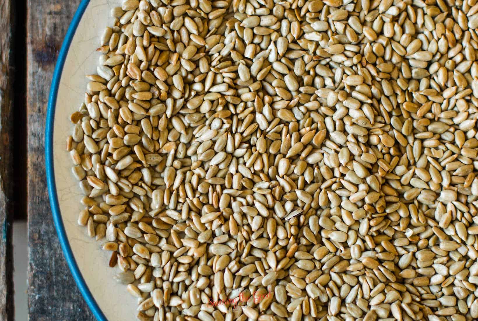 toasted roasted sunflower seeds cooling on a plate