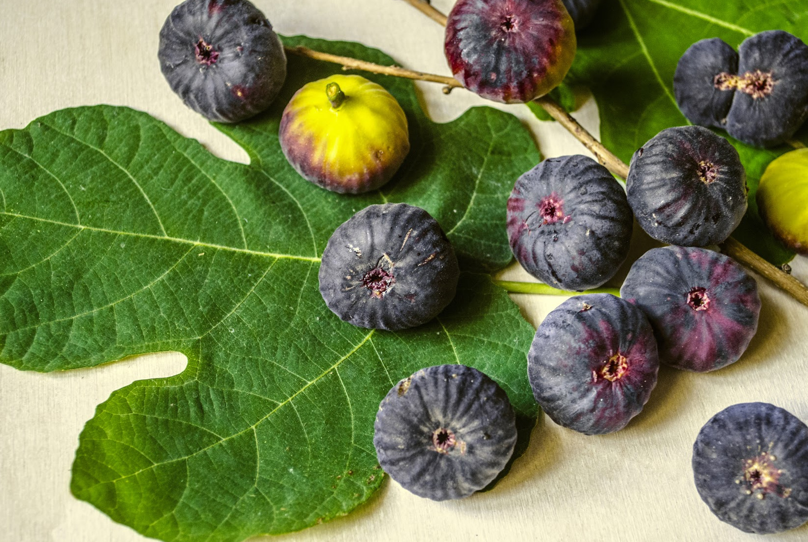Several ripe blue figs, some purple and one green-yellow, are placed on and around a large green fig leaf on a light background, highlighting the unique hues not typically found in blue fruits.