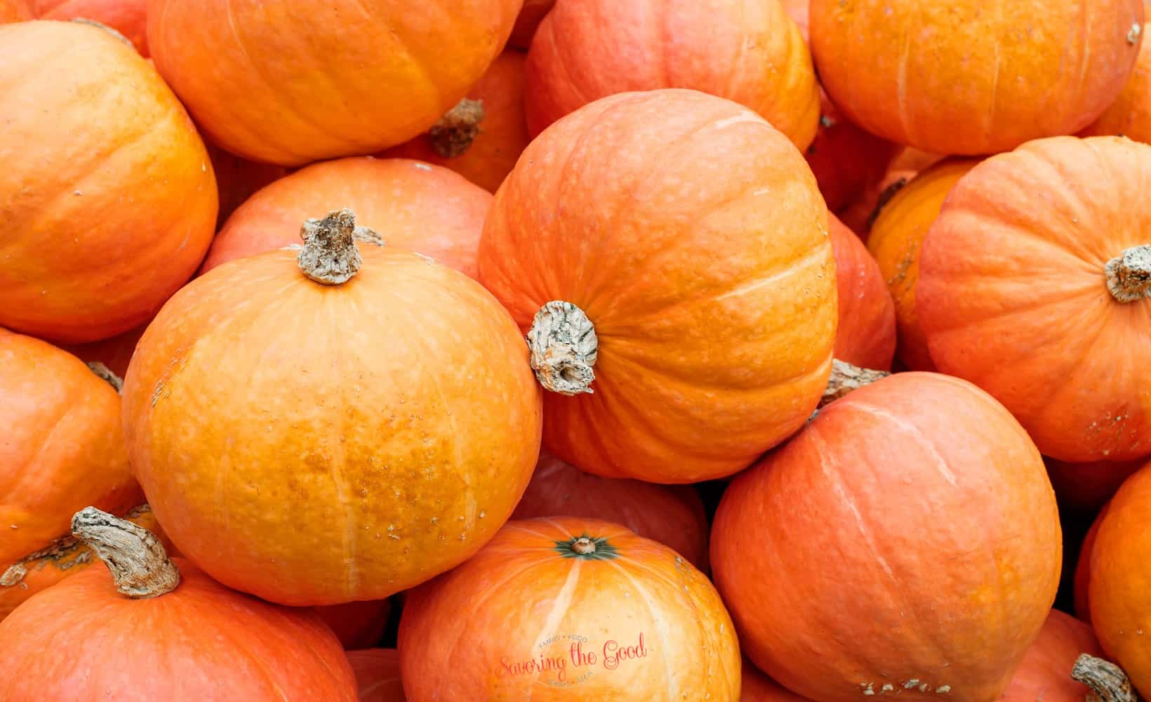 Pumpkin.