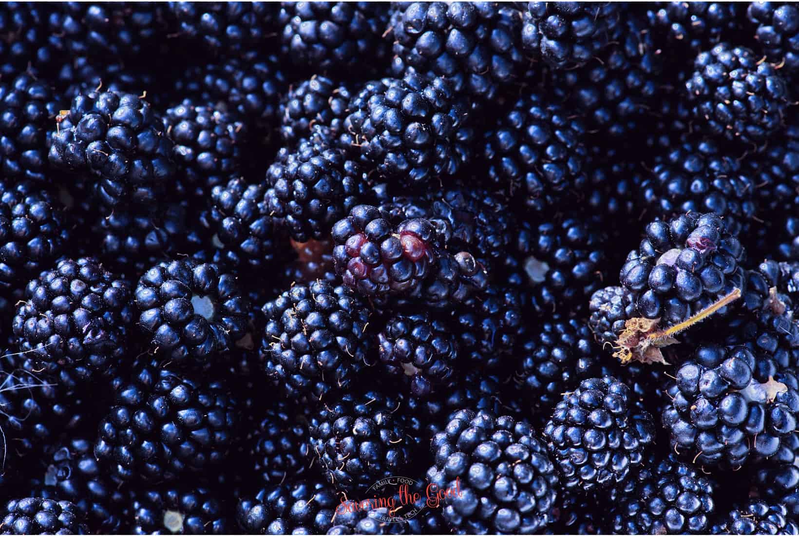 blue blackberry.