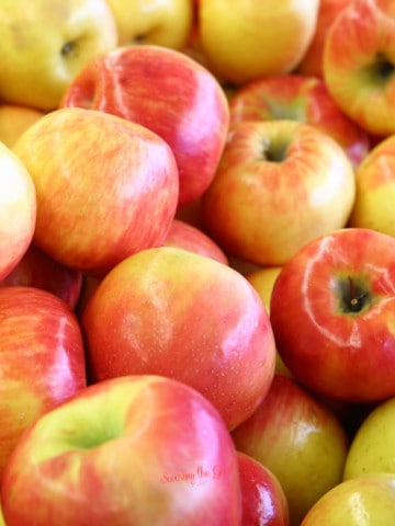 gala apple varieties.