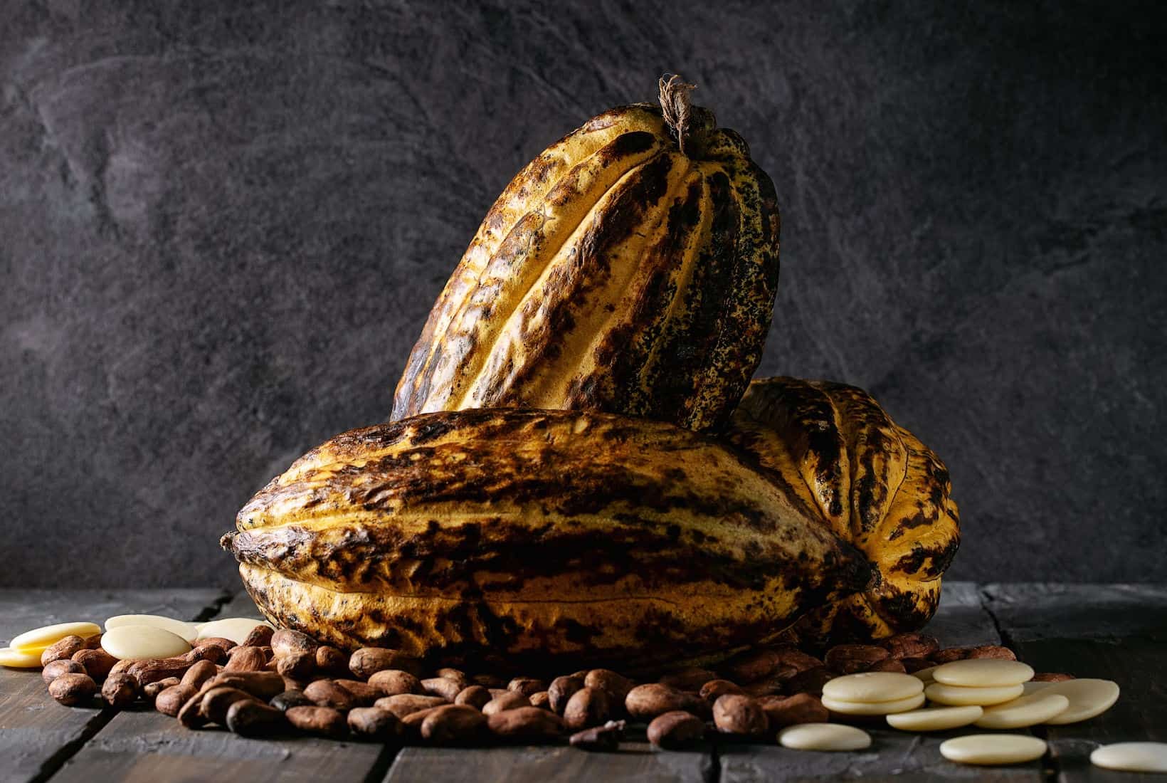A group of cocoa beans on a dark background.