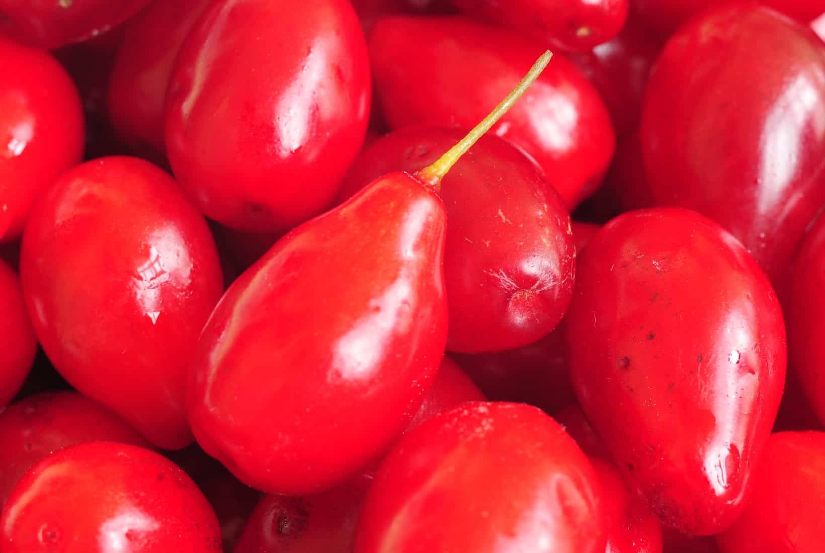A close up of Cornelian Cherry in a bowl.