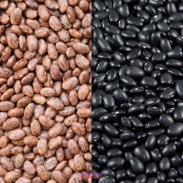 left side pinto beans right side black beans.
