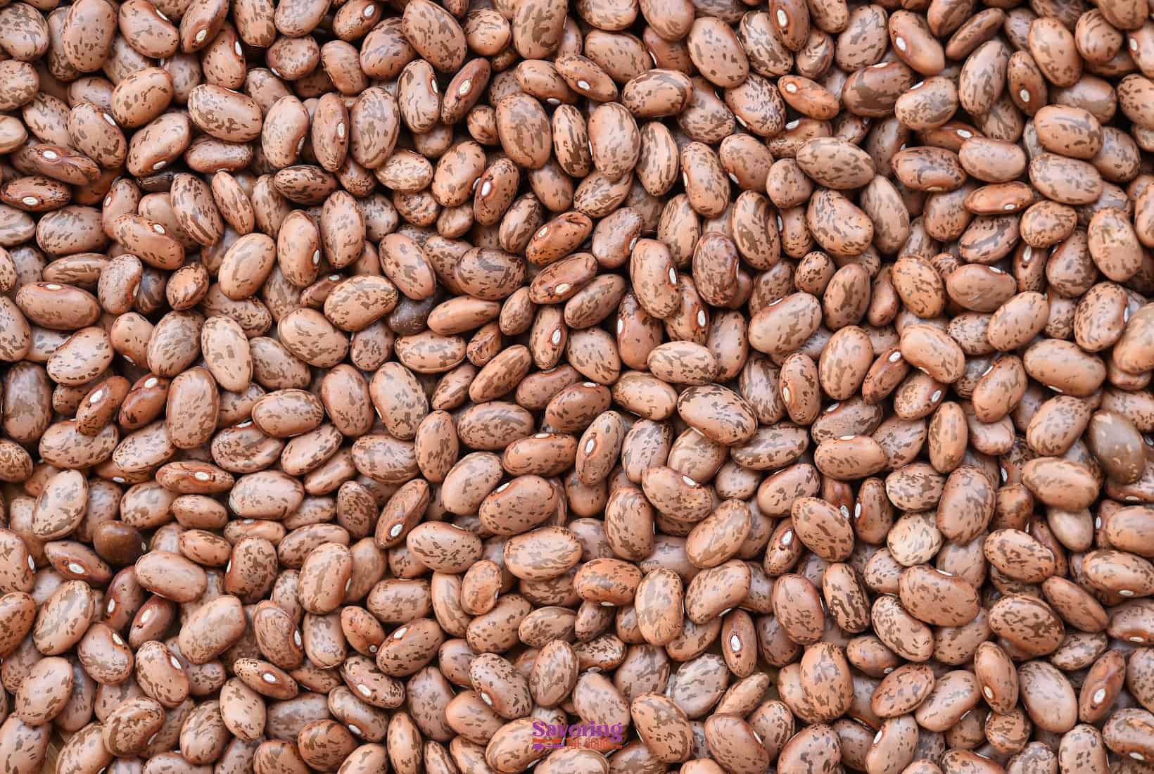 dry pinto beans.