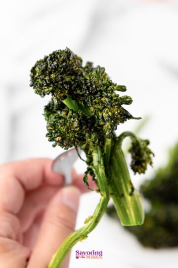 A person air frying broccolini on a plate.
