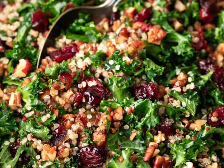 A bowl of kale salad mixed with quinoa, dried cranberries, and chopped nuts, with a spoon in it - the perfect side dish for what to serve with sea bass.