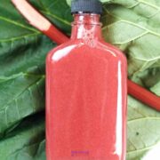 A bottle of pink liquid, known as rhubarb syrup, rests gracefully on large green leaves beside a fresh rhubarb stalk.