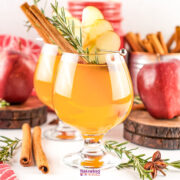 A glass of apple cider with Fireball, garnished with apple slices, a cinnamon stick, and rosemary, with whole apples and cinnamon sticks in the background.