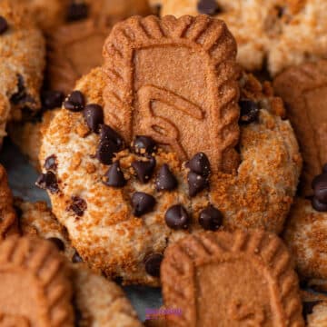 A close-up of cookies topped with chocolate chips, cookie crumbs, and a rectangular biscoff butter cookie partially inserted into each cookie.
