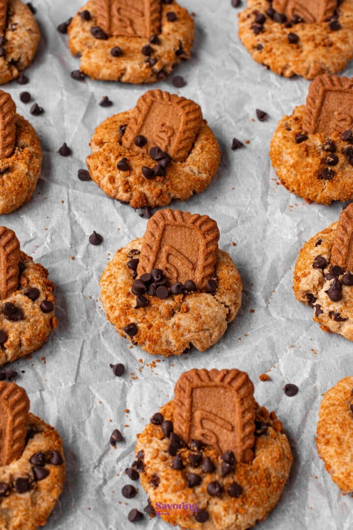 Rows of cookies topped with chocolate chips and rectangular biscuits are arranged on crumpled parchment paper.