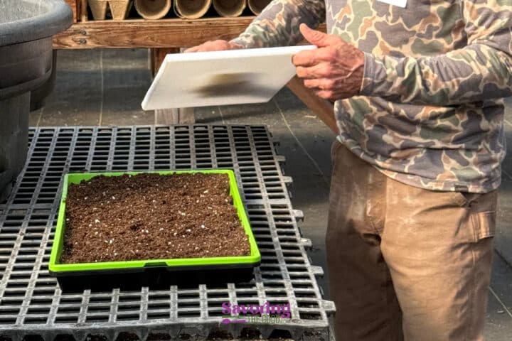 A person holds a white board above a green tray filled with soil, preparing for planting in a greenhouse setting.