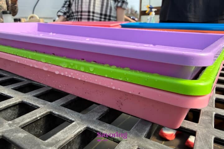 Close-up of stacked plastic trays in pink, green, and purple on a metal grid table, with water droplets visible on the edge; people are blurred in the background.