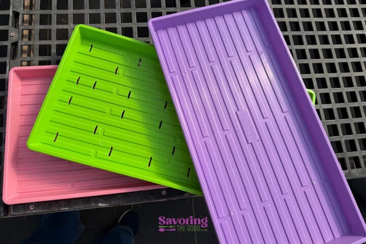 Three rectangular plastic trays in pink, green, and purple are stacked on a black grid surface. The green tray has drainage slots.