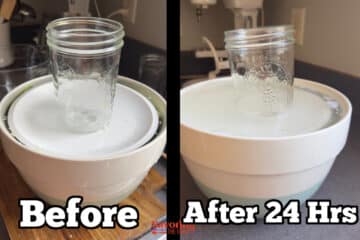 Two side-by-side photos show a glass jar on a plate over a bowl labeled "Before" and "After 24 Hrs," with the jar lowered in the second image, illustrating how brining pickles creates noticeable changes from weight or pressure over time.
